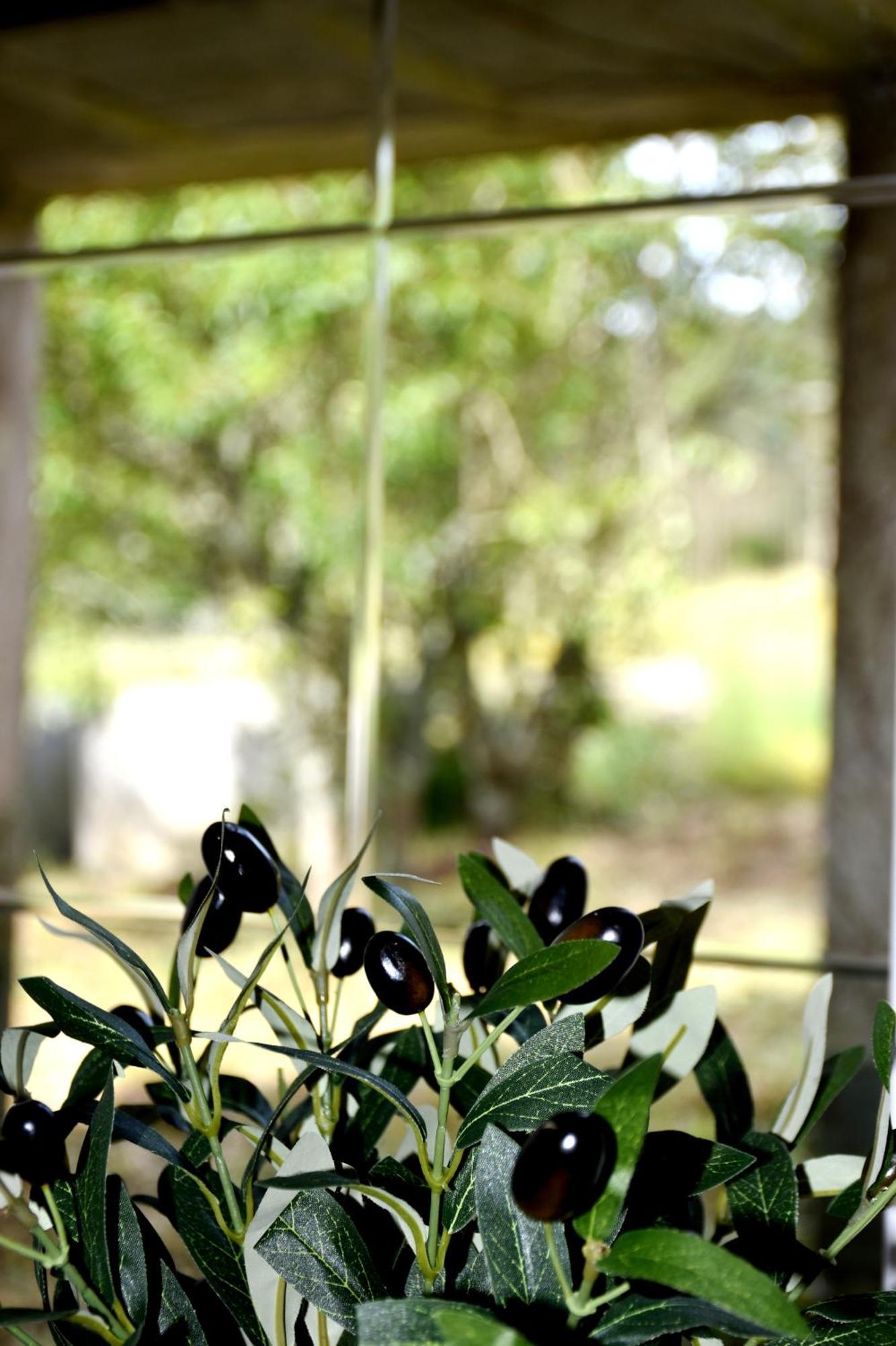 Casa Cal Da Rosins Holiday home